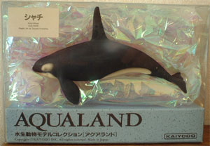 シャチ・立体